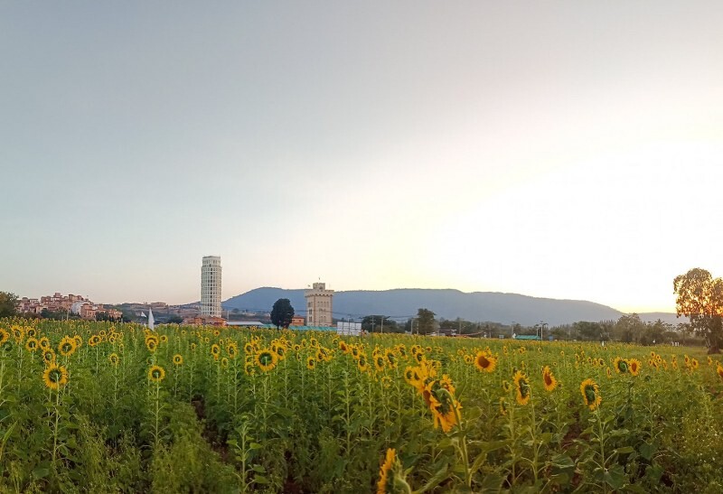เขาใหญ่, top 17+ ที่เที่ยวโคราช 2567 ที่เที่ยวในเมือง เขาใหญ่ สถานที่ถ่ายรูปสวย บรรยากาศดี