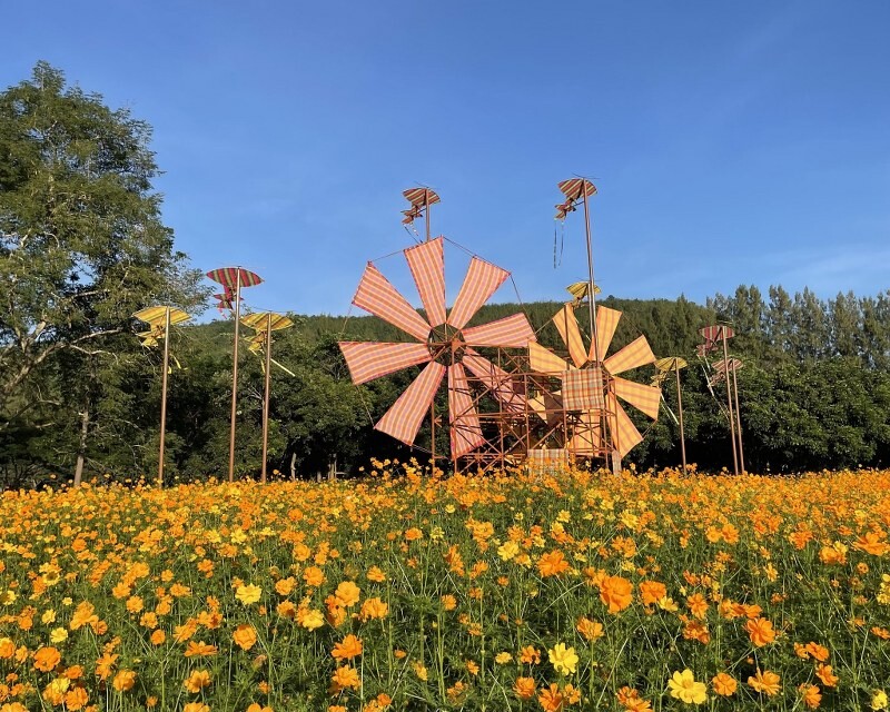 เขาใหญ่, top 17+ ที่เที่ยวโคราช 2567 ที่เที่ยวในเมือง เขาใหญ่ สถานที่ถ่ายรูปสวย บรรยากาศดี