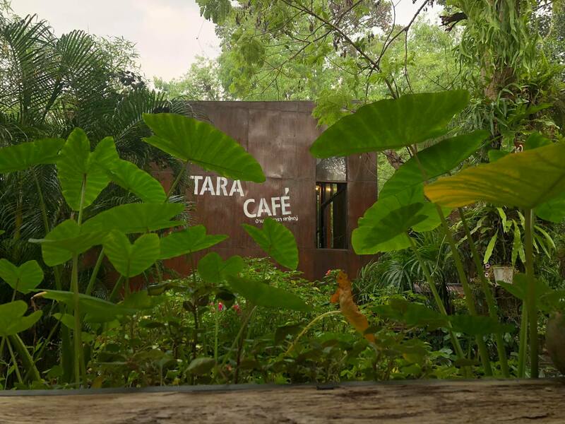 top 7+ คาเฟ่ริมน้ำเขาใหญ่ จิบกาแฟสัมผัสลมเก๋ๆ ช่วงฤดูฝน