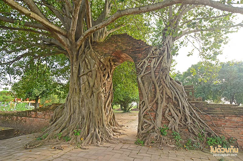 อยุธยา, เที่ยวอยุธยา, วัดอยุธยา, top 20+ วัดอยุธยา เน้นวัดสวยชมโบราณสถานเก่าแก่ วัดคนรู้จักน้อย แต่เลื่องลือว่าศักดิ์สิทธิ์  