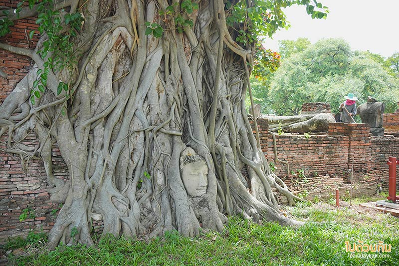 อยุธยา, เที่ยวอยุธยา, วัดอยุธยา, top 20+ วัดอยุธยา เน้นวัดสวยชมโบราณสถานเก่าแก่ วัดคนรู้จักน้อย แต่เลื่องลือว่าศักดิ์สิทธิ์  