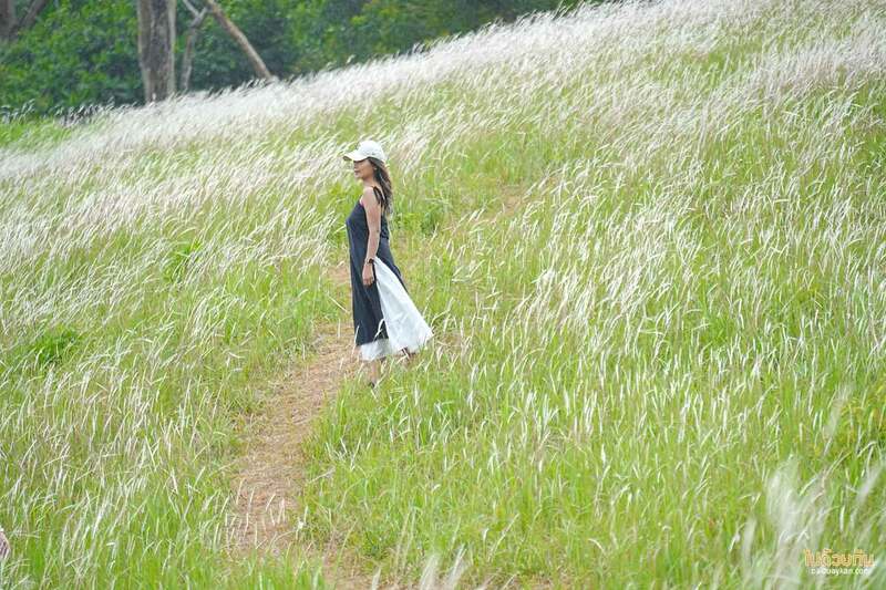 เที่ยวปากช่อง, เที่ยวเขาใหญ่, เขาใหญ่, เที่ยวนครราชสีมา, เที่ยวธรรมชาติเขาใหญ่, top 20+ ที่เที่ยวเขาใหญ่ พร้อมตัวอย่างโปรแกรมเที่ยว ทั้งไปกลับและค้างคืน