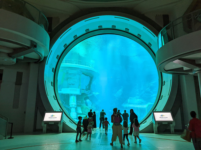 aals, abu dhabi ocean, adélie penguins, advanced animal lighting system, ahmed ibn majid, animals care center, antarctica, arctic, chinstrap penguin, eel racer, endless ocean, endless vista, explorer&039;s sea base, gentoo penguin, hypersphere 360, interactive, jelly plunge, kelp climb, king penguin, laszlo and oskar, live characters & performances, macaroni penguin, manta coaster, micro ocean, naham theater, octozoom!, one ocean, rockhopper penguin, rocky point, schooling fish, seaworld abu dhabi, the cave, tropical ocean, turtle twist, umberto’s, yas island, กระเบนทะเล, การแสดงโลมา, นกพัฟฟิน, นาคทะเล, ปลาไหลมอเรย์, ปูทะเล, พิพิธภัณฑ์สัตว์น้ำซีเวิลด์, ฟลามิงโก้, สัตว์ทะเล, อควาเรียมอาบูดาบี, อควาเรียมใหญ่ที่สุดในโลก, อาบูดาบี 2023, อุโมงค์ปลา, เกาะยาส, เที่ยว uae, เที่ยว uae 2023, แมวน้ำ, แอนตาร์กติกา, seaworld abu dhabi อควาเรียมเปิดใหม่ ใหญ่ที่สุดในโลก