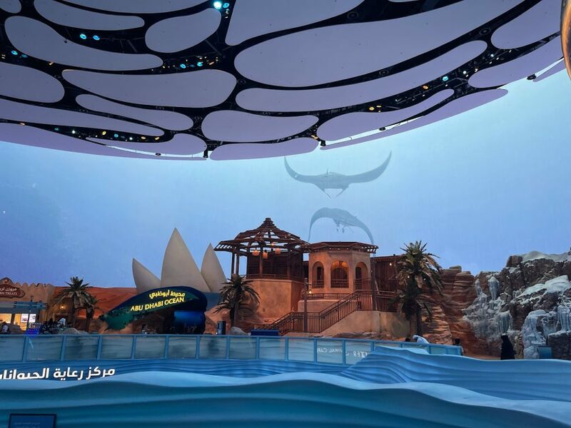 aals, abu dhabi ocean, adélie penguins, advanced animal lighting system, ahmed ibn majid, animals care center, antarctica, arctic, chinstrap penguin, eel racer, endless ocean, endless vista, explorer&039;s sea base, gentoo penguin, hypersphere 360, interactive, jelly plunge, kelp climb, king penguin, laszlo and oskar, live characters & performances, macaroni penguin, manta coaster, micro ocean, naham theater, octozoom!, one ocean, rockhopper penguin, rocky point, schooling fish, seaworld abu dhabi, the cave, tropical ocean, turtle twist, umberto’s, yas island, กระเบนทะเล, การแสดงโลมา, นกพัฟฟิน, นาคทะเล, ปลาไหลมอเรย์, ปูทะเล, พิพิธภัณฑ์สัตว์น้ำซีเวิลด์, ฟลามิงโก้, สัตว์ทะเล, อควาเรียมอาบูดาบี, อควาเรียมใหญ่ที่สุดในโลก, อาบูดาบี 2023, อุโมงค์ปลา, เกาะยาส, เที่ยว uae, เที่ยว uae 2023, แมวน้ำ, แอนตาร์กติกา, seaworld abu dhabi อควาเรียมเปิดใหม่ ใหญ่ที่สุดในโลก