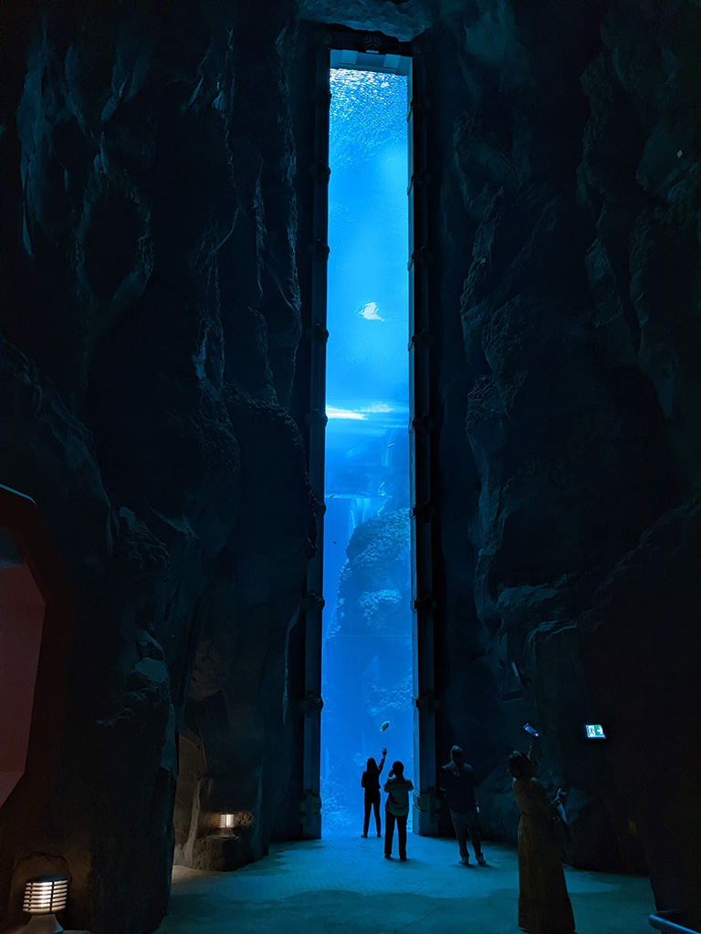 aals, abu dhabi ocean, adélie penguins, advanced animal lighting system, ahmed ibn majid, animals care center, antarctica, arctic, chinstrap penguin, eel racer, endless ocean, endless vista, explorer&039;s sea base, gentoo penguin, hypersphere 360, interactive, jelly plunge, kelp climb, king penguin, laszlo and oskar, live characters & performances, macaroni penguin, manta coaster, micro ocean, naham theater, octozoom!, one ocean, rockhopper penguin, rocky point, schooling fish, seaworld abu dhabi, the cave, tropical ocean, turtle twist, umberto’s, yas island, กระเบนทะเล, การแสดงโลมา, นกพัฟฟิน, นาคทะเล, ปลาไหลมอเรย์, ปูทะเล, พิพิธภัณฑ์สัตว์น้ำซีเวิลด์, ฟลามิงโก้, สัตว์ทะเล, อควาเรียมอาบูดาบี, อควาเรียมใหญ่ที่สุดในโลก, อาบูดาบี 2023, อุโมงค์ปลา, เกาะยาส, เที่ยว uae, เที่ยว uae 2023, แมวน้ำ, แอนตาร์กติกา, seaworld abu dhabi อควาเรียมเปิดใหม่ ใหญ่ที่สุดในโลก