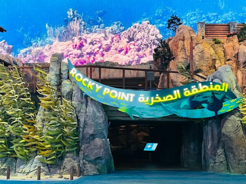 aals, abu dhabi ocean, adélie penguins, advanced animal lighting system, ahmed ibn majid, animals care center, antarctica, arctic, chinstrap penguin, eel racer, endless ocean, endless vista, explorer&039;s sea base, gentoo penguin, hypersphere 360, interactive, jelly plunge, kelp climb, king penguin, laszlo and oskar, live characters & performances, macaroni penguin, manta coaster, micro ocean, naham theater, octozoom!, one ocean, rockhopper penguin, rocky point, schooling fish, seaworld abu dhabi, the cave, tropical ocean, turtle twist, umberto’s, yas island, กระเบนทะเล, การแสดงโลมา, นกพัฟฟิน, นาคทะเล, ปลาไหลมอเรย์, ปูทะเล, พิพิธภัณฑ์สัตว์น้ำซีเวิลด์, ฟลามิงโก้, สัตว์ทะเล, อควาเรียมอาบูดาบี, อควาเรียมใหญ่ที่สุดในโลก, อาบูดาบี 2023, อุโมงค์ปลา, เกาะยาส, เที่ยว uae, เที่ยว uae 2023, แมวน้ำ, แอนตาร์กติกา, seaworld abu dhabi อควาเรียมเปิดใหม่ ใหญ่ที่สุดในโลก