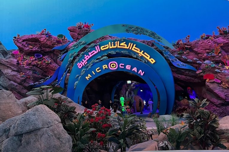 aals, abu dhabi ocean, adélie penguins, advanced animal lighting system, ahmed ibn majid, animals care center, antarctica, arctic, chinstrap penguin, eel racer, endless ocean, endless vista, explorer&039;s sea base, gentoo penguin, hypersphere 360, interactive, jelly plunge, kelp climb, king penguin, laszlo and oskar, live characters & performances, macaroni penguin, manta coaster, micro ocean, naham theater, octozoom!, one ocean, rockhopper penguin, rocky point, schooling fish, seaworld abu dhabi, the cave, tropical ocean, turtle twist, umberto’s, yas island, กระเบนทะเล, การแสดงโลมา, นกพัฟฟิน, นาคทะเล, ปลาไหลมอเรย์, ปูทะเล, พิพิธภัณฑ์สัตว์น้ำซีเวิลด์, ฟลามิงโก้, สัตว์ทะเล, อควาเรียมอาบูดาบี, อควาเรียมใหญ่ที่สุดในโลก, อาบูดาบี 2023, อุโมงค์ปลา, เกาะยาส, เที่ยว uae, เที่ยว uae 2023, แมวน้ำ, แอนตาร์กติกา, seaworld abu dhabi อควาเรียมเปิดใหม่ ใหญ่ที่สุดในโลก