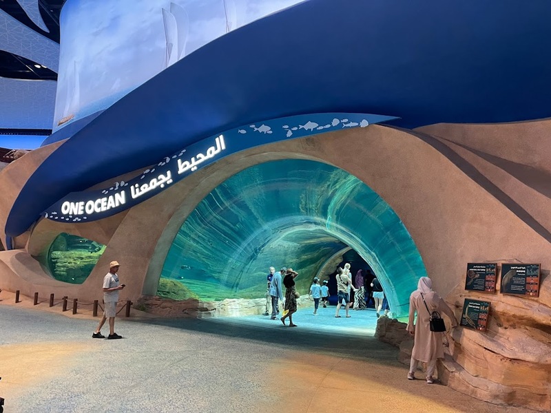 aals, abu dhabi ocean, adélie penguins, advanced animal lighting system, ahmed ibn majid, animals care center, antarctica, arctic, chinstrap penguin, eel racer, endless ocean, endless vista, explorer&039;s sea base, gentoo penguin, hypersphere 360, interactive, jelly plunge, kelp climb, king penguin, laszlo and oskar, live characters & performances, macaroni penguin, manta coaster, micro ocean, naham theater, octozoom!, one ocean, rockhopper penguin, rocky point, schooling fish, seaworld abu dhabi, the cave, tropical ocean, turtle twist, umberto’s, yas island, กระเบนทะเล, การแสดงโลมา, นกพัฟฟิน, นาคทะเล, ปลาไหลมอเรย์, ปูทะเล, พิพิธภัณฑ์สัตว์น้ำซีเวิลด์, ฟลามิงโก้, สัตว์ทะเล, อควาเรียมอาบูดาบี, อควาเรียมใหญ่ที่สุดในโลก, อาบูดาบี 2023, อุโมงค์ปลา, เกาะยาส, เที่ยว uae, เที่ยว uae 2023, แมวน้ำ, แอนตาร์กติกา, seaworld abu dhabi อควาเรียมเปิดใหม่ ใหญ่ที่สุดในโลก