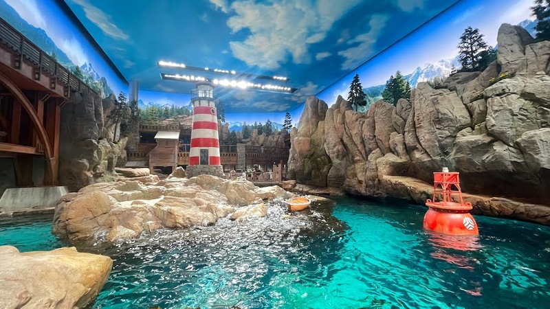 aals, abu dhabi ocean, adélie penguins, advanced animal lighting system, ahmed ibn majid, animals care center, antarctica, arctic, chinstrap penguin, eel racer, endless ocean, endless vista, explorer&039;s sea base, gentoo penguin, hypersphere 360, interactive, jelly plunge, kelp climb, king penguin, laszlo and oskar, live characters & performances, macaroni penguin, manta coaster, micro ocean, naham theater, octozoom!, one ocean, rockhopper penguin, rocky point, schooling fish, seaworld abu dhabi, the cave, tropical ocean, turtle twist, umberto’s, yas island, กระเบนทะเล, การแสดงโลมา, นกพัฟฟิน, นาคทะเล, ปลาไหลมอเรย์, ปูทะเล, พิพิธภัณฑ์สัตว์น้ำซีเวิลด์, ฟลามิงโก้, สัตว์ทะเล, อควาเรียมอาบูดาบี, อควาเรียมใหญ่ที่สุดในโลก, อาบูดาบี 2023, อุโมงค์ปลา, เกาะยาส, เที่ยว uae, เที่ยว uae 2023, แมวน้ำ, แอนตาร์กติกา, seaworld abu dhabi อควาเรียมเปิดใหม่ ใหญ่ที่สุดในโลก