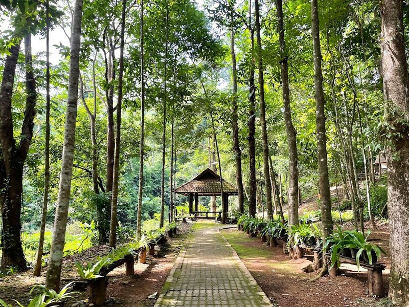 secret sunset beach, จุดชมวิวแหลมงอบ, ชุมชนบ้านน้ำเชี่ยว, ตราด, ที่เที่ยวตราด, ที่เที่ยวตราด 2024, ที่เที่ยวตราด 2567, น้ำตกคลองแก้ว, พระจมน้ำ เขาระกำ, วัดบุปผาราม, วัดปลายคลอง, ศาลเจ้าพ่อหลักเมืองตราด, สลักเพชร, หาดบานชื่น, หาดลับ ตราด, อันซีน ตราด, อ่าวตาลคู่, อ่าวสลักเพชร, อุทยานแห่งชาติน้ำตกคลองแก้ว, อุทยานแห่งชาติหมู่เกาะช้าง, เกาะกระดาด, เกาะกูด, เกาะกูด 2024, เกาะง่าม, เกาะช้าง, เกาะช้าง 2024, เกาะหมาก, เขาระกำ, เที่ยวตราด, เที่ยวตราด 2024, เที่ยวตราด 2567, top 15+ ที่เที่ยวตราด [กรกฎาคม 2024] มหัศจรรย์เมืองเกาะครึ่งร้อย ทะเลสวย น้ำใส ปะการังหลากสี