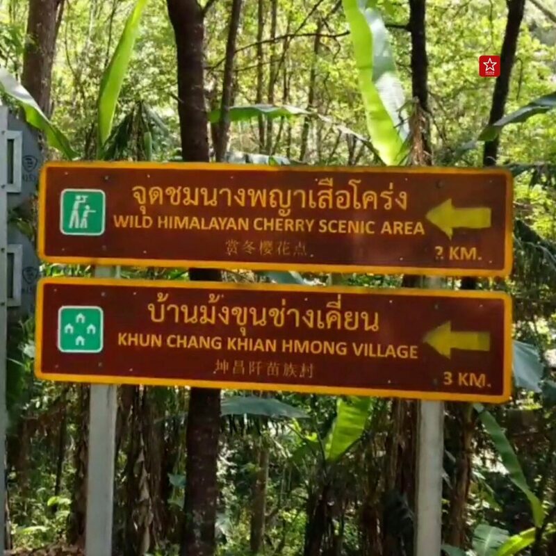 reviewchiangmai, ดอยปุย-ขุนช่างเคี่ยน, ที่เท่ียวเชียงใหม่, บ้านม้งดอยปุย, รีวิวเชียงใหม่, เดินป่าในเชียงใหม่, เดินป่าดอยปุย ต้มกาแฟ ณ น้ำตกในสวนลิ้นจี่-บ้านม้ง-ขุนช่างเคี่ยน