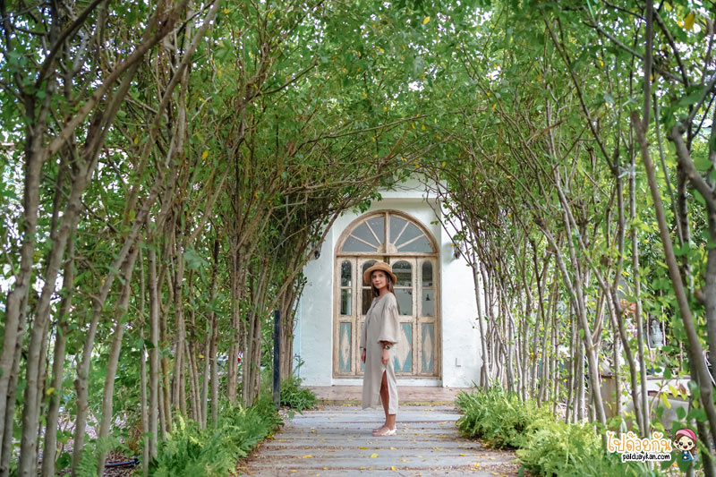 คาเฟ่ลาดพร้าว วังหิน, คาเฟ่โชคชัยสี่, slole cafe & garden โชคชัย4, slole cafe & garden โชคชัย4