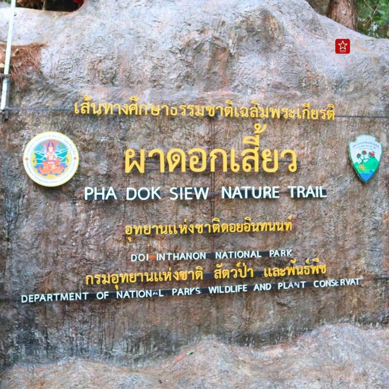 onedaytrip, ดอยอินทนนท์, ที่เที่ยวเชียงใหม่, น้ำตกผาดอกเสี้ยว, น้ำตกรักจัง, รถตู้ดอยอินทนนท์, เชียงใหม่ไลฟ์สไตล์, เดินป่า, เดินป่าเชียงใหม่, เส้นทางศึกษาธรรมชาติผาดอกเสี้ยว, เส้นทางเดินป่าเชียงใหม่, แอ่วได้แอ่วดี, ผาดอกเสี้ยว เดินลุยป่าหน้าฝน น้ำตกรักจัง ที่ไม่ลับบนดอยอินทนนท์