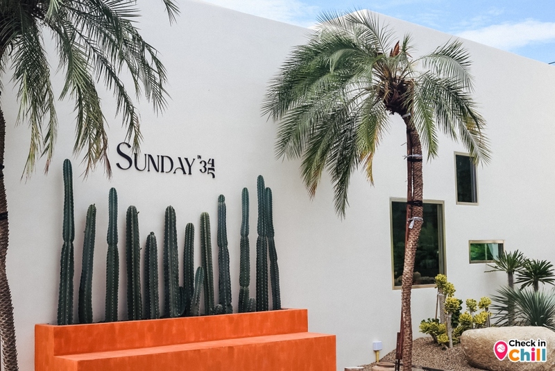 sunday in 345, sunday in 345 cafe, คาเฟ่ทะเลทราย, คาเฟ่ปทุมธานี, คาเฟ่เปิดใหม่, คาเฟ่ใกล้กทม., คาเฟ่ใกล้กรุงเทพ, รีวิว sunday in 345 cafe คาเฟ่เปิดใหม่ปทุมธานี เพ็ทเฟรนด์ลี่ ฟีลทะเลทราย สไตล์มินิมอล