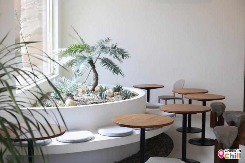 sunday in 345, sunday in 345 cafe, คาเฟ่ทะเลทราย, คาเฟ่ปทุมธานี, คาเฟ่เปิดใหม่, คาเฟ่ใกล้กทม., คาเฟ่ใกล้กรุงเทพ, รีวิว sunday in 345 cafe คาเฟ่เปิดใหม่ปทุมธานี เพ็ทเฟรนด์ลี่ ฟีลทะเลทราย สไตล์มินิมอล