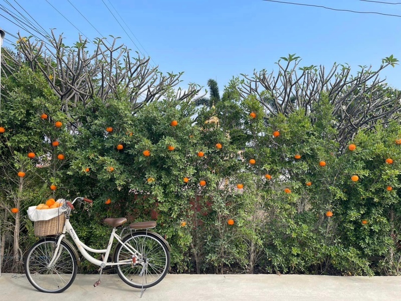at wild cafe & restaurant, barme tea & taste, cafe kanchanaburi, chan dara cafe, chan nature cafe, din cafe, hoff cafe, hoff cafe de kan, je t&039;aime cafe, kan machi cafe, kappa garden’s farm, koffe.coffeebar, lakeview cafe, linlin cafe, lycka cafe&039;, m.a.s. coffee & roastery, ma cafe, mas coffee & roastery, meena cafe, move to mountain garden, mulberry mellow, rainforest café, ravi riva cafe, see through cafe, the attic, the covent cafe, the keeree, the paintbar kanchanaburi, the village farm to cafe, trio farm cafe, z2 cafe, กาญจนบุรี, คาเฟ่ ใกล้ฉัน, คาเฟ่กาญจนบุรี, คาเฟ่กาญจนบุรี 2023, คาเฟ่กาญจนบุรี 2566, คาเฟ่เปิดใหม่กาญจนบุรี, คาเฟ่ใกล้ฉัน, มะคาเฟ่, top 25+ คาเฟ่กาญจนบุรี [กรกฎาคม 2024] นั่งจิบกาแฟชิลล์ ๆ ท่ามกลางวิวดี ๆ พร้อมที่ถ่ายรูปสุดปัง