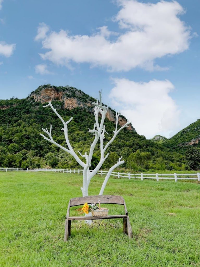 at wild cafe & restaurant, barme tea & taste, cafe kanchanaburi, chan dara cafe, chan nature cafe, din cafe, hoff cafe, hoff cafe de kan, je t&039;aime cafe, kan machi cafe, kappa garden’s farm, koffe.coffeebar, lakeview cafe, linlin cafe, lycka cafe&039;, m.a.s. coffee & roastery, ma cafe, mas coffee & roastery, meena cafe, move to mountain garden, mulberry mellow, rainforest café, ravi riva cafe, see through cafe, the attic, the covent cafe, the keeree, the paintbar kanchanaburi, the village farm to cafe, trio farm cafe, z2 cafe, กาญจนบุรี, คาเฟ่ ใกล้ฉัน, คาเฟ่กาญจนบุรี, คาเฟ่กาญจนบุรี 2023, คาเฟ่กาญจนบุรี 2566, คาเฟ่เปิดใหม่กาญจนบุรี, คาเฟ่ใกล้ฉัน, มะคาเฟ่, top 25+ คาเฟ่กาญจนบุรี [กรกฎาคม 2024] นั่งจิบกาแฟชิลล์ ๆ ท่ามกลางวิวดี ๆ พร้อมที่ถ่ายรูปสุดปัง