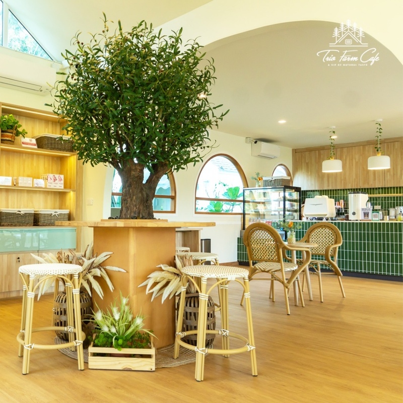 at wild cafe & restaurant, barme tea & taste, cafe kanchanaburi, chan dara cafe, chan nature cafe, din cafe, hoff cafe, hoff cafe de kan, je t&039;aime cafe, kan machi cafe, kappa garden’s farm, koffe.coffeebar, lakeview cafe, linlin cafe, lycka cafe&039;, m.a.s. coffee & roastery, ma cafe, mas coffee & roastery, meena cafe, move to mountain garden, mulberry mellow, rainforest café, ravi riva cafe, see through cafe, the attic, the covent cafe, the keeree, the paintbar kanchanaburi, the village farm to cafe, trio farm cafe, z2 cafe, กาญจนบุรี, คาเฟ่ ใกล้ฉัน, คาเฟ่กาญจนบุรี, คาเฟ่กาญจนบุรี 2023, คาเฟ่กาญจนบุรี 2566, คาเฟ่เปิดใหม่กาญจนบุรี, คาเฟ่ใกล้ฉัน, มะคาเฟ่, top 25+ คาเฟ่กาญจนบุรี [กรกฎาคม 2024] นั่งจิบกาแฟชิลล์ ๆ ท่ามกลางวิวดี ๆ พร้อมที่ถ่ายรูปสุดปัง