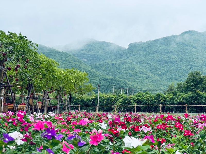at wild cafe & restaurant, barme tea & taste, cafe kanchanaburi, chan dara cafe, chan nature cafe, din cafe, hoff cafe, hoff cafe de kan, je t&039;aime cafe, kan machi cafe, kappa garden’s farm, koffe.coffeebar, lakeview cafe, linlin cafe, lycka cafe&039;, m.a.s. coffee & roastery, ma cafe, mas coffee & roastery, meena cafe, move to mountain garden, mulberry mellow, rainforest café, ravi riva cafe, see through cafe, the attic, the covent cafe, the keeree, the paintbar kanchanaburi, the village farm to cafe, trio farm cafe, z2 cafe, กาญจนบุรี, คาเฟ่ ใกล้ฉัน, คาเฟ่กาญจนบุรี, คาเฟ่กาญจนบุรี 2023, คาเฟ่กาญจนบุรี 2566, คาเฟ่เปิดใหม่กาญจนบุรี, คาเฟ่ใกล้ฉัน, มะคาเฟ่, top 25+ คาเฟ่กาญจนบุรี [กรกฎาคม 2024] นั่งจิบกาแฟชิลล์ ๆ ท่ามกลางวิวดี ๆ พร้อมที่ถ่ายรูปสุดปัง