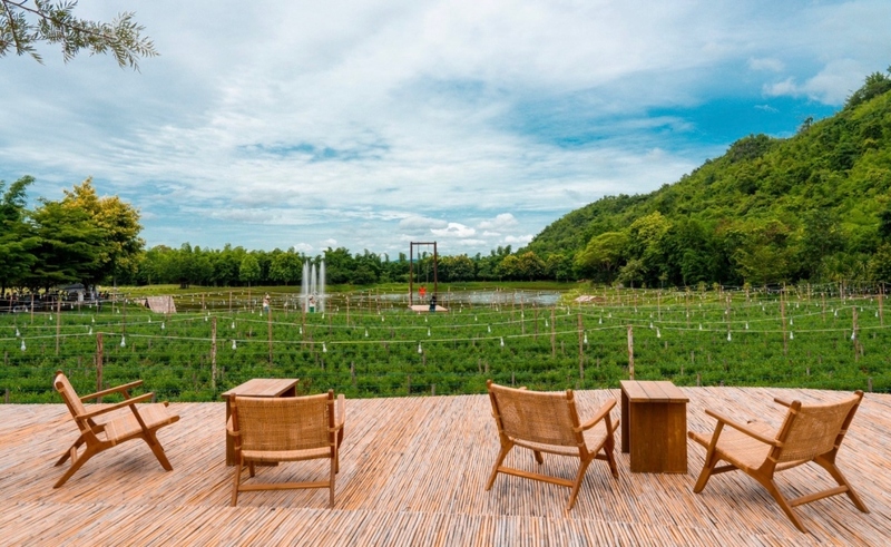 at wild cafe & restaurant, barme tea & taste, cafe kanchanaburi, chan dara cafe, chan nature cafe, din cafe, hoff cafe, hoff cafe de kan, je t&039;aime cafe, kan machi cafe, kappa garden’s farm, koffe.coffeebar, lakeview cafe, linlin cafe, lycka cafe&039;, m.a.s. coffee & roastery, ma cafe, mas coffee & roastery, meena cafe, move to mountain garden, mulberry mellow, rainforest café, ravi riva cafe, see through cafe, the attic, the covent cafe, the keeree, the paintbar kanchanaburi, the village farm to cafe, trio farm cafe, z2 cafe, กาญจนบุรี, คาเฟ่ ใกล้ฉัน, คาเฟ่กาญจนบุรี, คาเฟ่กาญจนบุรี 2023, คาเฟ่กาญจนบุรี 2566, คาเฟ่เปิดใหม่กาญจนบุรี, คาเฟ่ใกล้ฉัน, มะคาเฟ่, top 25+ คาเฟ่กาญจนบุรี [กรกฎาคม 2024] นั่งจิบกาแฟชิลล์ ๆ ท่ามกลางวิวดี ๆ พร้อมที่ถ่ายรูปสุดปัง