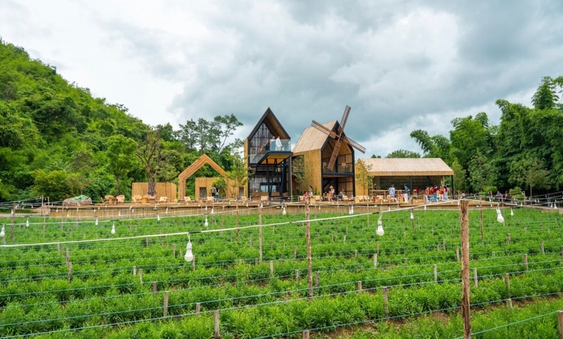 at wild cafe & restaurant, barme tea & taste, cafe kanchanaburi, chan dara cafe, chan nature cafe, din cafe, hoff cafe, hoff cafe de kan, je t&039;aime cafe, kan machi cafe, kappa garden’s farm, koffe.coffeebar, lakeview cafe, linlin cafe, lycka cafe&039;, m.a.s. coffee & roastery, ma cafe, mas coffee & roastery, meena cafe, move to mountain garden, mulberry mellow, rainforest café, ravi riva cafe, see through cafe, the attic, the covent cafe, the keeree, the paintbar kanchanaburi, the village farm to cafe, trio farm cafe, z2 cafe, กาญจนบุรี, คาเฟ่ ใกล้ฉัน, คาเฟ่กาญจนบุรี, คาเฟ่กาญจนบุรี 2023, คาเฟ่กาญจนบุรี 2566, คาเฟ่เปิดใหม่กาญจนบุรี, คาเฟ่ใกล้ฉัน, มะคาเฟ่, top 25+ คาเฟ่กาญจนบุรี [กรกฎาคม 2024] นั่งจิบกาแฟชิลล์ ๆ ท่ามกลางวิวดี ๆ พร้อมที่ถ่ายรูปสุดปัง