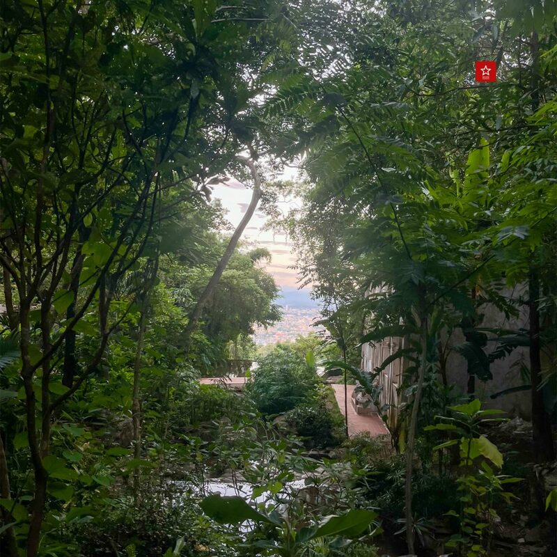 monk’s trail, reviewchiangmai, ดอยสุเทพ, รีวิวเชียงใหม่, วัดผาลาด, วิ่งเทรลเชียงใหม่, เดินป่าเชียงใหม่, เดินเขาเชียงใหม่, เดินป่าเชียงใหม่ พาเที่ยววัดผาลาด – ดอยสุเทพ เส้นทางศึกษาธรรมชาติ