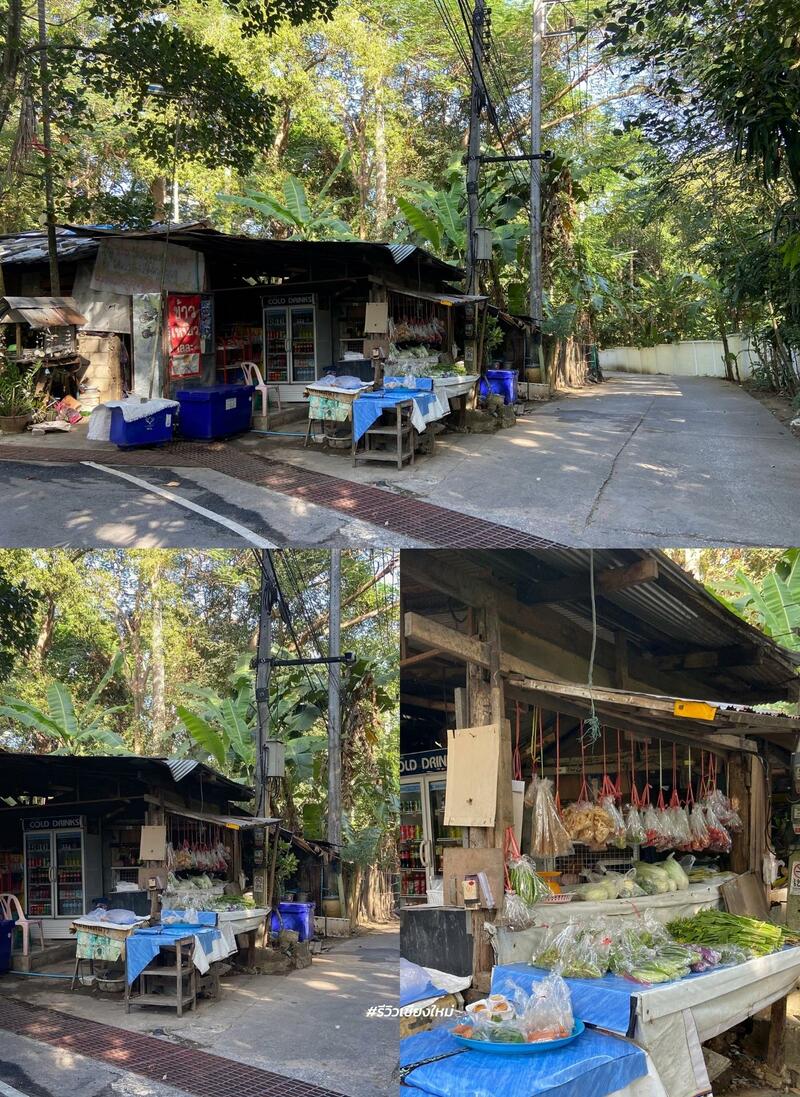 เดินป่าเชียงใหม่ พาเที่ยววัดผาลาด &ndash; ดอยสุเทพ เส้นทางศึกษาธรรมชาติ