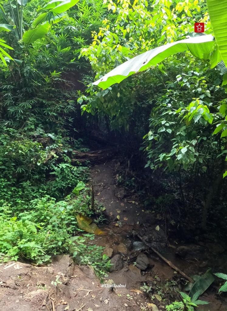 monk’s trail, reviewchiangmai, ดอยสุเทพ, รีวิวเชียงใหม่, วัดผาลาด, วิ่งเทรลเชียงใหม่, เดินป่าเชียงใหม่, เดินเขาเชียงใหม่, เดินป่าเชียงใหม่ พาเที่ยววัดผาลาด – ดอยสุเทพ เส้นทางศึกษาธรรมชาติ