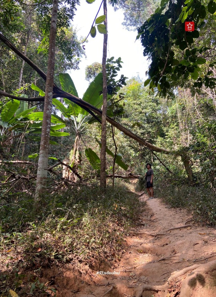 monk’s trail, reviewchiangmai, ดอยสุเทพ, รีวิวเชียงใหม่, วัดผาลาด, วิ่งเทรลเชียงใหม่, เดินป่าเชียงใหม่, เดินเขาเชียงใหม่, เดินป่าเชียงใหม่ พาเที่ยววัดผาลาด – ดอยสุเทพ เส้นทางศึกษาธรรมชาติ