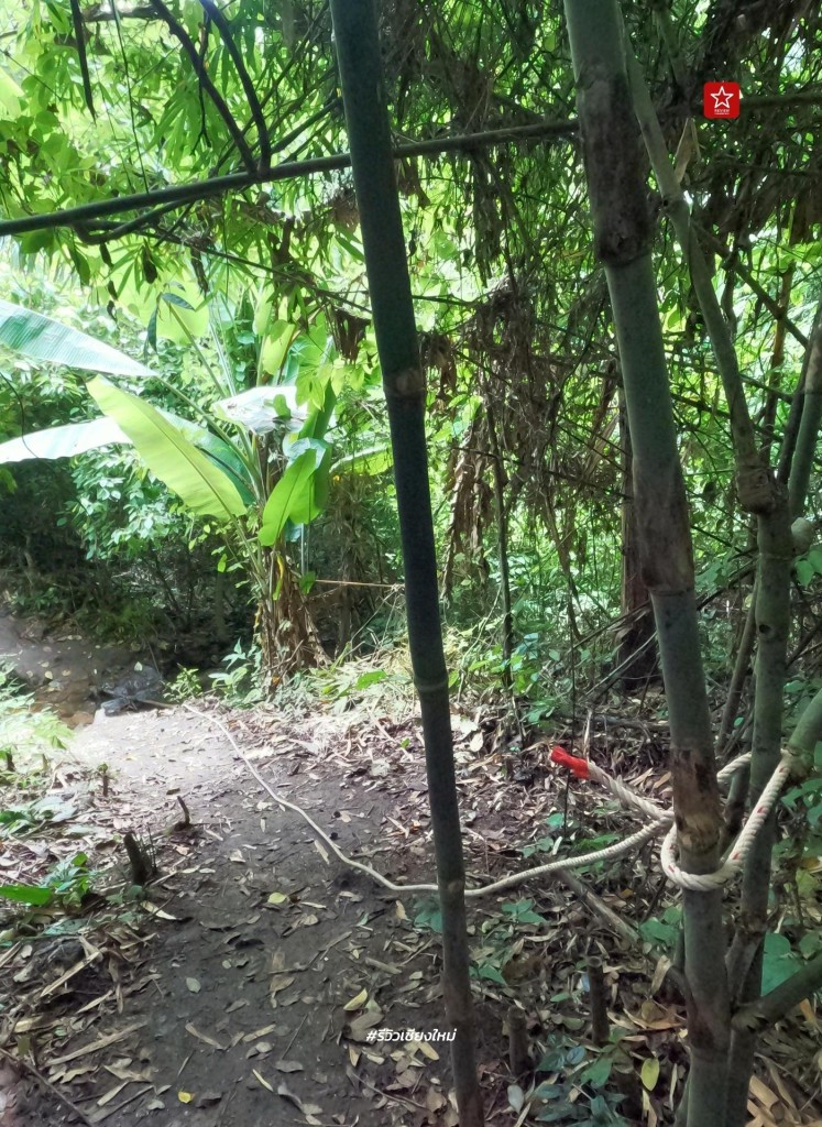 monk’s trail, reviewchiangmai, ดอยสุเทพ, รีวิวเชียงใหม่, วัดผาลาด, วิ่งเทรลเชียงใหม่, เดินป่าเชียงใหม่, เดินเขาเชียงใหม่, เดินป่าเชียงใหม่ พาเที่ยววัดผาลาด – ดอยสุเทพ เส้นทางศึกษาธรรมชาติ