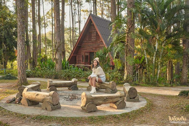 สวนป่าดอยบ่อหลวง พักบ้านไม้สวย รถบ้าน กลางป่าสน