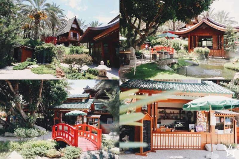 กาดหลวง, กิ่วแม่ปาน, กิ่วแม่ปานเชียงใหม่, จุดชมวิวทิวทัศน์ป่าสะเมิง, จุดชมวิวบ้านม้งดอยปุย, จุดชมวิวระหว่างทางขึ้นดอยสุเทพ, ดอยปู่หมื่น, ดอยหัวหมู, ดอยอินทนนท์, ตลาดจริงใจมาร์เก็ต, ถนนคนเดินท่าแพ, ถนนคนเดินวัวลาย, ท้องฟ้าจำลอง narit สถาบันวิจัยดาราศาสตร์แห่งชาติ, ที่เที่ยว เชียงใหม่, ที่เที่ยวดอยอินทนนท์, ที่เที่ยวฝาง, ที่เที่ยวม่อนแจ่ม, ที่เที่ยวสันกำแพง, ที่เที่ยวเชียงดาว, ที่เที่ยวแม่ริม, ที่เที่ยวแม่อาย, ที่เที่ยวแม่แตง, ที่เที่ยวไชยปราการ, น้ำตกมณฑาธาร, น้ำตกหมอกฟ้า, น้ำพุร้อนดอยสะเก็ด, น้ำพุร้อนฝาง, บ้านข้างวัด, บ้านสวนโกหลักอินทผลัมไทย, ป่าสนวัดจันทร์, พระตำหนักภูพิงคราชนิเวศน์, ม่อนเงาะ, ม่อนแจ่ม, ม่อนแดดน้อยโฮมสเตย์วิวงาม, ย่านวัวลาย, ร้านกระเป๋าสาน, ลานกางเต็นท์ดอยปุย, วัดพระธาตุดอยสุเทพราชวรวิหาร, วันต้นเกว๋น, ศูนย์พัฒนาโครงการหลวงทุ่งเริง, ศูนย์วิจัย สาธิตและฝึกอบรมการเกษตรแม่เหียะ, สวนกุหลาบหลวง, สวนป่าดอยบ่อหลวง, สวนพฤกษศาสตร์ฯ, สวนสนบ่อแก้ว, สวนสนแม่แตง, หมู่บ้านยาง, ห้วยตึงเฒ่า, หาที่เที่ยวเชียงใหม่, องค์การอุตสากหรรมป่าไม้, อ่างเก็บน้ำห้วยลาน, อ่างแก้ว มช., อุตสาชงที่บ้าน, อุทยานหลวงราชพฤกษ์, อุทยานแห่งชาติดอยผ้าห่มปก, อุทยานแห่งชาติห้วยน้ำดัง, เขื่อนแม่กวงอุดมธารา, เขื่อนแม่งัดสมบูรณ์ชล, เขื่อนแม่ออน, เคียงฟ้าธาราไพร, เจียงดารา-บ้านทุ่งหลุก, เที่ยวดอยเชียงใหม่, เที่ยวเชียงใหม่, เส้นทางศึกษาธรรมชาติกิ่วแม่ปาน, แม่กำปอง, โฮมสเตย์บ้านอุ้ยจมสม- หลานณนน, แจกวาร์ป 50 ที่เที่ยวเชียงใหม่ ออกไปเฟี้ยวได้ฉ่ำๆ