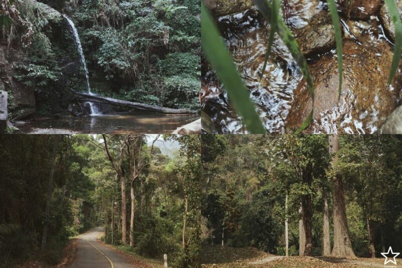 กาดหลวง, กิ่วแม่ปาน, กิ่วแม่ปานเชียงใหม่, จุดชมวิวทิวทัศน์ป่าสะเมิง, จุดชมวิวบ้านม้งดอยปุย, จุดชมวิวระหว่างทางขึ้นดอยสุเทพ, ดอยปู่หมื่น, ดอยหัวหมู, ดอยอินทนนท์, ตลาดจริงใจมาร์เก็ต, ถนนคนเดินท่าแพ, ถนนคนเดินวัวลาย, ท้องฟ้าจำลอง narit สถาบันวิจัยดาราศาสตร์แห่งชาติ, ที่เที่ยว เชียงใหม่, ที่เที่ยวดอยอินทนนท์, ที่เที่ยวฝาง, ที่เที่ยวม่อนแจ่ม, ที่เที่ยวสันกำแพง, ที่เที่ยวเชียงดาว, ที่เที่ยวแม่ริม, ที่เที่ยวแม่อาย, ที่เที่ยวแม่แตง, ที่เที่ยวไชยปราการ, น้ำตกมณฑาธาร, น้ำตกหมอกฟ้า, น้ำพุร้อนดอยสะเก็ด, น้ำพุร้อนฝาง, บ้านข้างวัด, บ้านสวนโกหลักอินทผลัมไทย, ป่าสนวัดจันทร์, พระตำหนักภูพิงคราชนิเวศน์, ม่อนเงาะ, ม่อนแจ่ม, ม่อนแดดน้อยโฮมสเตย์วิวงาม, ย่านวัวลาย, ร้านกระเป๋าสาน, ลานกางเต็นท์ดอยปุย, วัดพระธาตุดอยสุเทพราชวรวิหาร, วันต้นเกว๋น, ศูนย์พัฒนาโครงการหลวงทุ่งเริง, ศูนย์วิจัย สาธิตและฝึกอบรมการเกษตรแม่เหียะ, สวนกุหลาบหลวง, สวนป่าดอยบ่อหลวง, สวนพฤกษศาสตร์ฯ, สวนสนบ่อแก้ว, สวนสนแม่แตง, หมู่บ้านยาง, ห้วยตึงเฒ่า, หาที่เที่ยวเชียงใหม่, องค์การอุตสากหรรมป่าไม้, อ่างเก็บน้ำห้วยลาน, อ่างแก้ว มช., อุตสาชงที่บ้าน, อุทยานหลวงราชพฤกษ์, อุทยานแห่งชาติดอยผ้าห่มปก, อุทยานแห่งชาติห้วยน้ำดัง, เขื่อนแม่กวงอุดมธารา, เขื่อนแม่งัดสมบูรณ์ชล, เขื่อนแม่ออน, เคียงฟ้าธาราไพร, เจียงดารา-บ้านทุ่งหลุก, เที่ยวดอยเชียงใหม่, เที่ยวเชียงใหม่, เส้นทางศึกษาธรรมชาติกิ่วแม่ปาน, แม่กำปอง, โฮมสเตย์บ้านอุ้ยจมสม- หลานณนน, แจกวาร์ป 50 ที่เที่ยวเชียงใหม่ ออกไปเฟี้ยวได้ฉ่ำๆ