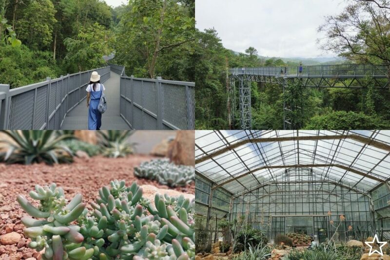 กาดหลวง, กิ่วแม่ปาน, กิ่วแม่ปานเชียงใหม่, จุดชมวิวทิวทัศน์ป่าสะเมิง, จุดชมวิวบ้านม้งดอยปุย, จุดชมวิวระหว่างทางขึ้นดอยสุเทพ, ดอยปู่หมื่น, ดอยหัวหมู, ดอยอินทนนท์, ตลาดจริงใจมาร์เก็ต, ถนนคนเดินท่าแพ, ถนนคนเดินวัวลาย, ท้องฟ้าจำลอง narit สถาบันวิจัยดาราศาสตร์แห่งชาติ, ที่เที่ยว เชียงใหม่, ที่เที่ยวดอยอินทนนท์, ที่เที่ยวฝาง, ที่เที่ยวม่อนแจ่ม, ที่เที่ยวสันกำแพง, ที่เที่ยวเชียงดาว, ที่เที่ยวแม่ริม, ที่เที่ยวแม่อาย, ที่เที่ยวแม่แตง, ที่เที่ยวไชยปราการ, น้ำตกมณฑาธาร, น้ำตกหมอกฟ้า, น้ำพุร้อนดอยสะเก็ด, น้ำพุร้อนฝาง, บ้านข้างวัด, บ้านสวนโกหลักอินทผลัมไทย, ป่าสนวัดจันทร์, พระตำหนักภูพิงคราชนิเวศน์, ม่อนเงาะ, ม่อนแจ่ม, ม่อนแดดน้อยโฮมสเตย์วิวงาม, ย่านวัวลาย, ร้านกระเป๋าสาน, ลานกางเต็นท์ดอยปุย, วัดพระธาตุดอยสุเทพราชวรวิหาร, วันต้นเกว๋น, ศูนย์พัฒนาโครงการหลวงทุ่งเริง, ศูนย์วิจัย สาธิตและฝึกอบรมการเกษตรแม่เหียะ, สวนกุหลาบหลวง, สวนป่าดอยบ่อหลวง, สวนพฤกษศาสตร์ฯ, สวนสนบ่อแก้ว, สวนสนแม่แตง, หมู่บ้านยาง, ห้วยตึงเฒ่า, หาที่เที่ยวเชียงใหม่, องค์การอุตสากหรรมป่าไม้, อ่างเก็บน้ำห้วยลาน, อ่างแก้ว มช., อุตสาชงที่บ้าน, อุทยานหลวงราชพฤกษ์, อุทยานแห่งชาติดอยผ้าห่มปก, อุทยานแห่งชาติห้วยน้ำดัง, เขื่อนแม่กวงอุดมธารา, เขื่อนแม่งัดสมบูรณ์ชล, เขื่อนแม่ออน, เคียงฟ้าธาราไพร, เจียงดารา-บ้านทุ่งหลุก, เที่ยวดอยเชียงใหม่, เที่ยวเชียงใหม่, เส้นทางศึกษาธรรมชาติกิ่วแม่ปาน, แม่กำปอง, โฮมสเตย์บ้านอุ้ยจมสม- หลานณนน, แจกวาร์ป 50 ที่เที่ยวเชียงใหม่ ออกไปเฟี้ยวได้ฉ่ำๆ
