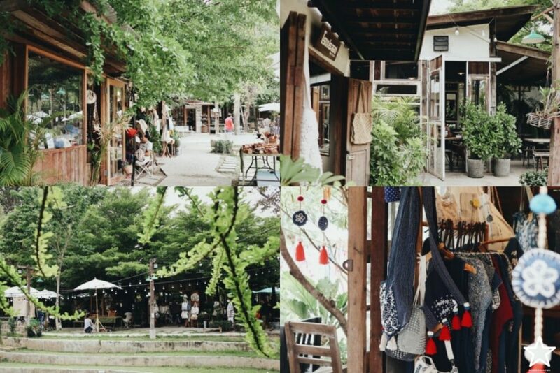 กาดหลวง, กิ่วแม่ปาน, กิ่วแม่ปานเชียงใหม่, จุดชมวิวทิวทัศน์ป่าสะเมิง, จุดชมวิวบ้านม้งดอยปุย, จุดชมวิวระหว่างทางขึ้นดอยสุเทพ, ดอยปู่หมื่น, ดอยหัวหมู, ดอยอินทนนท์, ตลาดจริงใจมาร์เก็ต, ถนนคนเดินท่าแพ, ถนนคนเดินวัวลาย, ท้องฟ้าจำลอง narit สถาบันวิจัยดาราศาสตร์แห่งชาติ, ที่เที่ยว เชียงใหม่, ที่เที่ยวดอยอินทนนท์, ที่เที่ยวฝาง, ที่เที่ยวม่อนแจ่ม, ที่เที่ยวสันกำแพง, ที่เที่ยวเชียงดาว, ที่เที่ยวแม่ริม, ที่เที่ยวแม่อาย, ที่เที่ยวแม่แตง, ที่เที่ยวไชยปราการ, น้ำตกมณฑาธาร, น้ำตกหมอกฟ้า, น้ำพุร้อนดอยสะเก็ด, น้ำพุร้อนฝาง, บ้านข้างวัด, บ้านสวนโกหลักอินทผลัมไทย, ป่าสนวัดจันทร์, พระตำหนักภูพิงคราชนิเวศน์, ม่อนเงาะ, ม่อนแจ่ม, ม่อนแดดน้อยโฮมสเตย์วิวงาม, ย่านวัวลาย, ร้านกระเป๋าสาน, ลานกางเต็นท์ดอยปุย, วัดพระธาตุดอยสุเทพราชวรวิหาร, วันต้นเกว๋น, ศูนย์พัฒนาโครงการหลวงทุ่งเริง, ศูนย์วิจัย สาธิตและฝึกอบรมการเกษตรแม่เหียะ, สวนกุหลาบหลวง, สวนป่าดอยบ่อหลวง, สวนพฤกษศาสตร์ฯ, สวนสนบ่อแก้ว, สวนสนแม่แตง, หมู่บ้านยาง, ห้วยตึงเฒ่า, หาที่เที่ยวเชียงใหม่, องค์การอุตสากหรรมป่าไม้, อ่างเก็บน้ำห้วยลาน, อ่างแก้ว มช., อุตสาชงที่บ้าน, อุทยานหลวงราชพฤกษ์, อุทยานแห่งชาติดอยผ้าห่มปก, อุทยานแห่งชาติห้วยน้ำดัง, เขื่อนแม่กวงอุดมธารา, เขื่อนแม่งัดสมบูรณ์ชล, เขื่อนแม่ออน, เคียงฟ้าธาราไพร, เจียงดารา-บ้านทุ่งหลุก, เที่ยวดอยเชียงใหม่, เที่ยวเชียงใหม่, เส้นทางศึกษาธรรมชาติกิ่วแม่ปาน, แม่กำปอง, โฮมสเตย์บ้านอุ้ยจมสม- หลานณนน, แจกวาร์ป 50 ที่เที่ยวเชียงใหม่ ออกไปเฟี้ยวได้ฉ่ำๆ