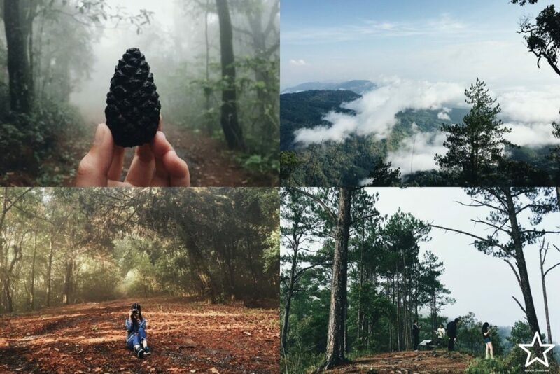 กาดหลวง, กิ่วแม่ปาน, กิ่วแม่ปานเชียงใหม่, จุดชมวิวทิวทัศน์ป่าสะเมิง, จุดชมวิวบ้านม้งดอยปุย, จุดชมวิวระหว่างทางขึ้นดอยสุเทพ, ดอยปู่หมื่น, ดอยหัวหมู, ดอยอินทนนท์, ตลาดจริงใจมาร์เก็ต, ถนนคนเดินท่าแพ, ถนนคนเดินวัวลาย, ท้องฟ้าจำลอง narit สถาบันวิจัยดาราศาสตร์แห่งชาติ, ที่เที่ยว เชียงใหม่, ที่เที่ยวดอยอินทนนท์, ที่เที่ยวฝาง, ที่เที่ยวม่อนแจ่ม, ที่เที่ยวสันกำแพง, ที่เที่ยวเชียงดาว, ที่เที่ยวแม่ริม, ที่เที่ยวแม่อาย, ที่เที่ยวแม่แตง, ที่เที่ยวไชยปราการ, น้ำตกมณฑาธาร, น้ำตกหมอกฟ้า, น้ำพุร้อนดอยสะเก็ด, น้ำพุร้อนฝาง, บ้านข้างวัด, บ้านสวนโกหลักอินทผลัมไทย, ป่าสนวัดจันทร์, พระตำหนักภูพิงคราชนิเวศน์, ม่อนเงาะ, ม่อนแจ่ม, ม่อนแดดน้อยโฮมสเตย์วิวงาม, ย่านวัวลาย, ร้านกระเป๋าสาน, ลานกางเต็นท์ดอยปุย, วัดพระธาตุดอยสุเทพราชวรวิหาร, วันต้นเกว๋น, ศูนย์พัฒนาโครงการหลวงทุ่งเริง, ศูนย์วิจัย สาธิตและฝึกอบรมการเกษตรแม่เหียะ, สวนกุหลาบหลวง, สวนป่าดอยบ่อหลวง, สวนพฤกษศาสตร์ฯ, สวนสนบ่อแก้ว, สวนสนแม่แตง, หมู่บ้านยาง, ห้วยตึงเฒ่า, หาที่เที่ยวเชียงใหม่, องค์การอุตสากหรรมป่าไม้, อ่างเก็บน้ำห้วยลาน, อ่างแก้ว มช., อุตสาชงที่บ้าน, อุทยานหลวงราชพฤกษ์, อุทยานแห่งชาติดอยผ้าห่มปก, อุทยานแห่งชาติห้วยน้ำดัง, เขื่อนแม่กวงอุดมธารา, เขื่อนแม่งัดสมบูรณ์ชล, เขื่อนแม่ออน, เคียงฟ้าธาราไพร, เจียงดารา-บ้านทุ่งหลุก, เที่ยวดอยเชียงใหม่, เที่ยวเชียงใหม่, เส้นทางศึกษาธรรมชาติกิ่วแม่ปาน, แม่กำปอง, โฮมสเตย์บ้านอุ้ยจมสม- หลานณนน, แจกวาร์ป 50 ที่เที่ยวเชียงใหม่ ออกไปเฟี้ยวได้ฉ่ำๆ
