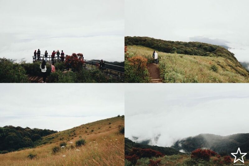 กาดหลวง, กิ่วแม่ปาน, กิ่วแม่ปานเชียงใหม่, จุดชมวิวทิวทัศน์ป่าสะเมิง, จุดชมวิวบ้านม้งดอยปุย, จุดชมวิวระหว่างทางขึ้นดอยสุเทพ, ดอยปู่หมื่น, ดอยหัวหมู, ดอยอินทนนท์, ตลาดจริงใจมาร์เก็ต, ถนนคนเดินท่าแพ, ถนนคนเดินวัวลาย, ท้องฟ้าจำลอง narit สถาบันวิจัยดาราศาสตร์แห่งชาติ, ที่เที่ยว เชียงใหม่, ที่เที่ยวดอยอินทนนท์, ที่เที่ยวฝาง, ที่เที่ยวม่อนแจ่ม, ที่เที่ยวสันกำแพง, ที่เที่ยวเชียงดาว, ที่เที่ยวแม่ริม, ที่เที่ยวแม่อาย, ที่เที่ยวแม่แตง, ที่เที่ยวไชยปราการ, น้ำตกมณฑาธาร, น้ำตกหมอกฟ้า, น้ำพุร้อนดอยสะเก็ด, น้ำพุร้อนฝาง, บ้านข้างวัด, บ้านสวนโกหลักอินทผลัมไทย, ป่าสนวัดจันทร์, พระตำหนักภูพิงคราชนิเวศน์, ม่อนเงาะ, ม่อนแจ่ม, ม่อนแดดน้อยโฮมสเตย์วิวงาม, ย่านวัวลาย, ร้านกระเป๋าสาน, ลานกางเต็นท์ดอยปุย, วัดพระธาตุดอยสุเทพราชวรวิหาร, วันต้นเกว๋น, ศูนย์พัฒนาโครงการหลวงทุ่งเริง, ศูนย์วิจัย สาธิตและฝึกอบรมการเกษตรแม่เหียะ, สวนกุหลาบหลวง, สวนป่าดอยบ่อหลวง, สวนพฤกษศาสตร์ฯ, สวนสนบ่อแก้ว, สวนสนแม่แตง, หมู่บ้านยาง, ห้วยตึงเฒ่า, หาที่เที่ยวเชียงใหม่, องค์การอุตสากหรรมป่าไม้, อ่างเก็บน้ำห้วยลาน, อ่างแก้ว มช., อุตสาชงที่บ้าน, อุทยานหลวงราชพฤกษ์, อุทยานแห่งชาติดอยผ้าห่มปก, อุทยานแห่งชาติห้วยน้ำดัง, เขื่อนแม่กวงอุดมธารา, เขื่อนแม่งัดสมบูรณ์ชล, เขื่อนแม่ออน, เคียงฟ้าธาราไพร, เจียงดารา-บ้านทุ่งหลุก, เที่ยวดอยเชียงใหม่, เที่ยวเชียงใหม่, เส้นทางศึกษาธรรมชาติกิ่วแม่ปาน, แม่กำปอง, โฮมสเตย์บ้านอุ้ยจมสม- หลานณนน, แจกวาร์ป 50 ที่เที่ยวเชียงใหม่ ออกไปเฟี้ยวได้ฉ่ำๆ