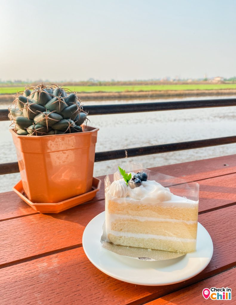 kanya cafe, kanya คาเฟ่ปทุมธานี, กัญญา คาเฟ่, คาเฟ่, คาเฟ่ปทุม, คาเฟ่ปทุมธานี, คาเฟ่ริมทุ่งนา, คาเฟ่ใกล้ฉัน, ร้านกัญญา, ร้านกัญญา คาเฟ่, รีวิว ร้าน kanya cafe คาเฟ่และร้านอาหาร สไตล์ชนบท อบอุ่น เป็นกันเอง ฟีลบ้านกลางทุ่งนา