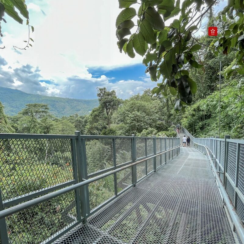 hotspringsvantransport, reviewchiangmai, ที่เที่ยวม่อนแจ่ม, ที่เที่ยวเชียงใหม่, ม่อนแจ่ม, รถตู้ม่อนแจ่ม, รถตู้เชียงใหม่, รีวิวเชียงใหม่, สกายวอร์ค, สวนพฤกษศาสตร์, ฮอทสปริงแวนทรานสปอร์ต, โป่งแยง, ม่อนแจ่ม ไม่มีรถ ก็เที่ยวได้ one day trip ทริปนี้มีแต่ม่อนแจ่ม