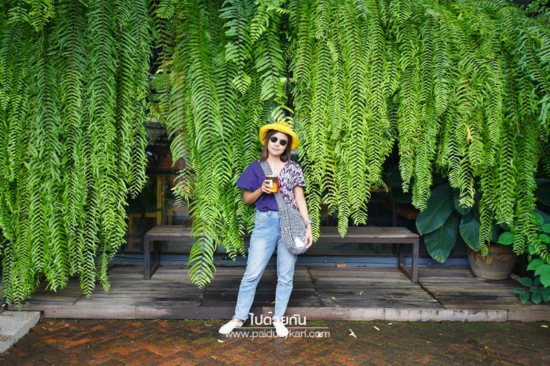 คาเฟ่แพร่, ร้านกาแฟแพร่, sugar bites café แพร่, sugar bites café  แพร่
