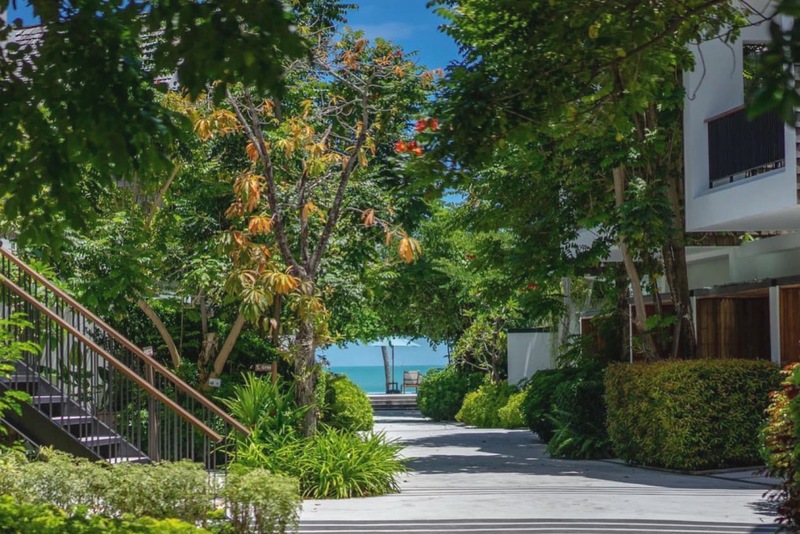 casa de mar hotel, hansar samui resort, karma resort, lub d koh samui chaweng beach, peace resort, zazen boutique resort, การ์มา รีสอร์ต, จังหวัดสุราษฏร์ธานี, ซาเซ็น บูติก รีสอร์ท แอนด์ สปา, ดารา สมุย บีช รีสอร์ท แอนด์ สปา วิลล่า, ที่พัก, ที่พัก เกาะสมุย, ที่พักสมุย, ที่พักสมุย 2024, ที่พักสมุย 2567, ที่พักสมุยติดทะเล, ที่พักสมุยติดทะเล 2567, ที่พักเกาะสมุย, ที่พักเกาะสมุย 2024, ที่พักเกาะสมุย 2567, ที่พักเกาะสมุย ติดทะเล, ที่พักเกาะสมุย ติดหาด, ที่เที่ยว, บ้านทะเล รีสอร์ท, บ้านหาดงาม บูทิก รีสอร์ต แอนด์ วิลลา, บุรี รสา วิลเลจ สมุย, พรานา รีสอร์ต สมุย, พีซ รีสอร์ท, มิโมซ่า รีสอร์ท แอนด์ สปา, รีสอร์ท เกาะสมุย, ศาลาสมุย, สถานที่ท่องเที่ยว, สมุย ปาล์ม บีช รีสอร์ท, หรรษา สมุย รีสอร์ท, หลับดี เกาะสมุย, เกาะสมุย, เฉวง รีเจนท์ บีช รีสอร์ท, เซ็นทารา วิลล่า สมุย, โนรา บีช รีสอร์ท แอนด์ สปา, โรงแรม เกาะสุมย, โรงแรมคาซ่า เดอ มาร์, โรงแรมเดอะ กะลา, top 20+ ที่พักเกาะสมุย [กรกฎาคม 2024] วิวดี ติดทะเล ถ่ายรูปสวย