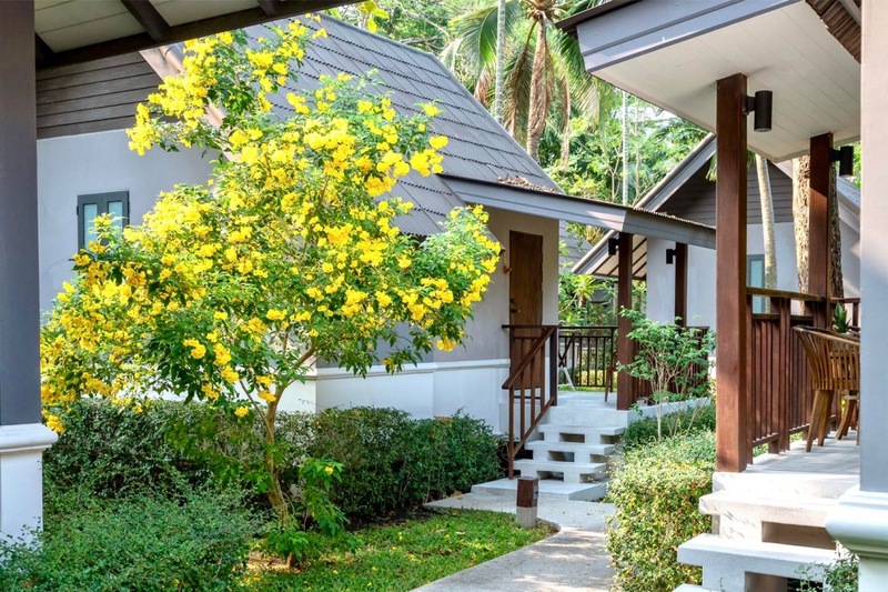 casa de mar hotel, hansar samui resort, karma resort, lub d koh samui chaweng beach, peace resort, zazen boutique resort, การ์มา รีสอร์ต, จังหวัดสุราษฏร์ธานี, ซาเซ็น บูติก รีสอร์ท แอนด์ สปา, ดารา สมุย บีช รีสอร์ท แอนด์ สปา วิลล่า, ที่พัก, ที่พัก เกาะสมุย, ที่พักสมุย, ที่พักสมุย 2024, ที่พักสมุย 2567, ที่พักสมุยติดทะเล, ที่พักสมุยติดทะเล 2567, ที่พักเกาะสมุย, ที่พักเกาะสมุย 2024, ที่พักเกาะสมุย 2567, ที่พักเกาะสมุย ติดทะเล, ที่พักเกาะสมุย ติดหาด, ที่เที่ยว, บ้านทะเล รีสอร์ท, บ้านหาดงาม บูทิก รีสอร์ต แอนด์ วิลลา, บุรี รสา วิลเลจ สมุย, พรานา รีสอร์ต สมุย, พีซ รีสอร์ท, มิโมซ่า รีสอร์ท แอนด์ สปา, รีสอร์ท เกาะสมุย, ศาลาสมุย, สถานที่ท่องเที่ยว, สมุย ปาล์ม บีช รีสอร์ท, หรรษา สมุย รีสอร์ท, หลับดี เกาะสมุย, เกาะสมุย, เฉวง รีเจนท์ บีช รีสอร์ท, เซ็นทารา วิลล่า สมุย, โนรา บีช รีสอร์ท แอนด์ สปา, โรงแรม เกาะสุมย, โรงแรมคาซ่า เดอ มาร์, โรงแรมเดอะ กะลา, top 20+ ที่พักเกาะสมุย [กรกฎาคม 2024] วิวดี ติดทะเล ถ่ายรูปสวย