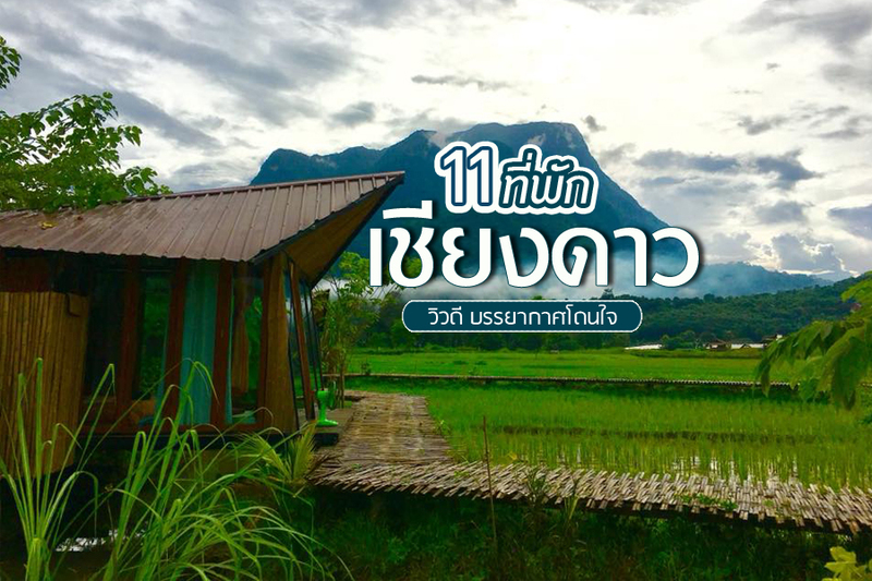 1. ออโรร่า รีสอร์ท เชียงดาว (Aurora Resort Chiang Dao), 2. อาซาเลีย วิลเลจ (Azalea Village), 3. ซารังเฮ โฮม เชียงดาว (Saranghae Home Chiang Dao), 4. ต้นข้าวหอมบ้านอ้อมดอย (Chill ChiangDao), 5. บ้านผ่อดอย กอยดาว (Baan Porhdoi Goidao), 6. บุราภัฏ รีสอร์ต (Buraphat Resort), 7. คำปันนา รีสอร์ท (Khampunna), 8. ดรีมโฮม เชียงดาว (Dreamhome Chiangdao), 9. มาริษา รีสอร์ทแอนด์สปา เชียงดาว (Marisa Resort &amp; Spa Chiang Dao), 10. เชียงดาว รีเซ็ต (Chiang Dao Reset), 11. เชียงดาว ฮัท (Chiang Dao Hut), Top 11+ ที่พักเชียงดาว ที่พักบนดอยวิวสวย บรรยากาศโดนใจ