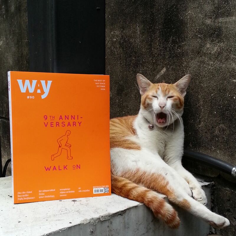top 12+ ร้าน book cafe' คาเฟ่น่านั่งของคนรักหนังสือ @กรุงเทพฯ