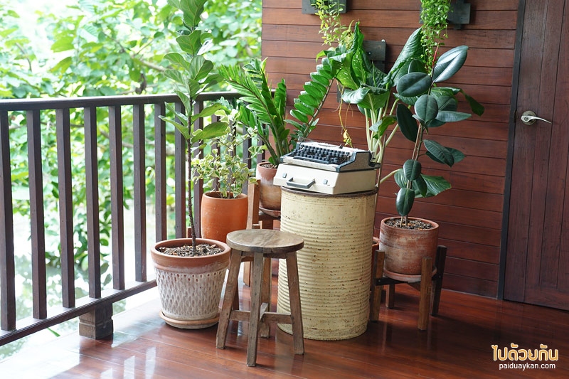 คาเฟ่นครปฐม, คาเฟ่นครชัยศรี, home-no-eight, บ้านเลขที่8, คาเฟ่ริมน้ำนครปฐม, home no.eight บ้านเลขที่8 คาเฟ่บ้านไม้ริมน้ำสุดโฮมมี่