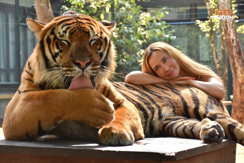 aquaria phuket, aquariaphuket, banana beach, blackrock, blackrockviewpoint, hanuman world, honeymoon island, katabeach, maikhaobeach, nuibeach, phuket, phuket fantasea, phuket old town, phuketfantasea, streetartภูเก็ต, tiger kingdom phuket, จุดชมวิวผาหินดำ, จุดชมวิวเขารัง, ตลาดอาหารทะเล ภูเก็ต, ตลาดอาหารทะเล ราไวย์, ท่องเที่ยวภูเก็ต, ที่เที่ยวภูเก็ต, ที่เที่ยวภูเก็ต 2024, ที่เที่ยวภูเก็ต 2567, น้ำตกโตนไทร, ประภาคารกาญจนาภิเษก, ป่าตอง, ผาหินดำ, พระผุด ภูเก็ต, พระมิ่งมงคลเอกนาคคีรี, พระใหญ่ภูเก็ต, พระใหญ่เมืองภูเก็ต, พิพิธภัณฑ์สัตว์น้ำ, ภูเก็ต, ภูเก็ต 2024, ภูเก็ต 2567, ภูเก็ตแฟนตาซี, มหัศจรรย์กมลา, ย่านเมืองเก่าภูเก็ต, วัดพระทอง, วัดพระผุด, สวนเสือภูเก็ต, หนุมานเวิลด์, หาดกล้วย, หาดกะตะ, หาดนุ้ย, หาดป่าตอง, หาดไม้ขาว, อควาเรียภูเก็ต, อควาเรียม ภูเก็ต, เกาะรูปหัวใจ ภูเก็ต, เกาะเฮ, เกาะแก้วพิศดาร, เกาะแก้วใหญ่, เกาะไม้ท่อน, เขารัง, เที่ยวภูเก็ต, เที่ยวภูเก็ต 2024, เที่ยวภูเก็ต 2567, แหลมพรหมเทพ, top 20+ ที่เที่ยวภูเก็ต [กรกฎาคม 2024] สวรรค์ของคนรักทะเล เมืองแห่งไข่มุกอันดามันและธรรมชาติอันงดงาม