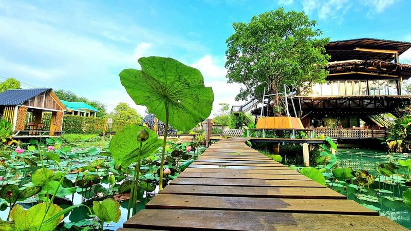 ร้านอาหารบรรยากาศดี โคราช : รวมร้านอาหารสวยๆ บรรยากาศดีน่านั่ง และถ่ายรูปสวยๆ อวดเพื่อน!