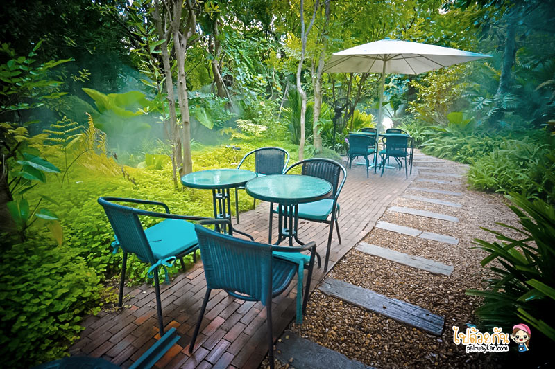 ร้านอาหารกาญจนบุรี, คาเฟ่กาญจนบุรี, rainforest café กาญจนบุรี, rainforest café กาญจนบุรี คาเฟ่ในสายหมอก ท่ามกลางสวนป่า