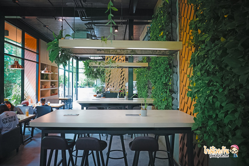 ร้านอาหารกาญจนบุรี, คาเฟ่กาญจนบุรี, rainforest café กาญจนบุรี, rainforest café กาญจนบุรี คาเฟ่ในสายหมอก ท่ามกลางสวนป่า