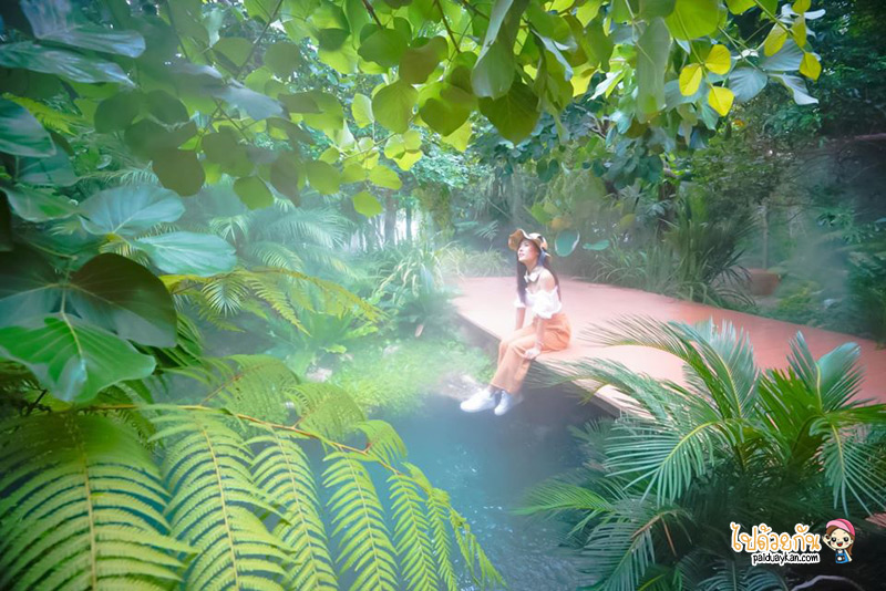 ร้านอาหารกาญจนบุรี, คาเฟ่กาญจนบุรี, rainforest café กาญจนบุรี, rainforest café กาญจนบุรี คาเฟ่ในสายหมอก ท่ามกลางสวนป่า